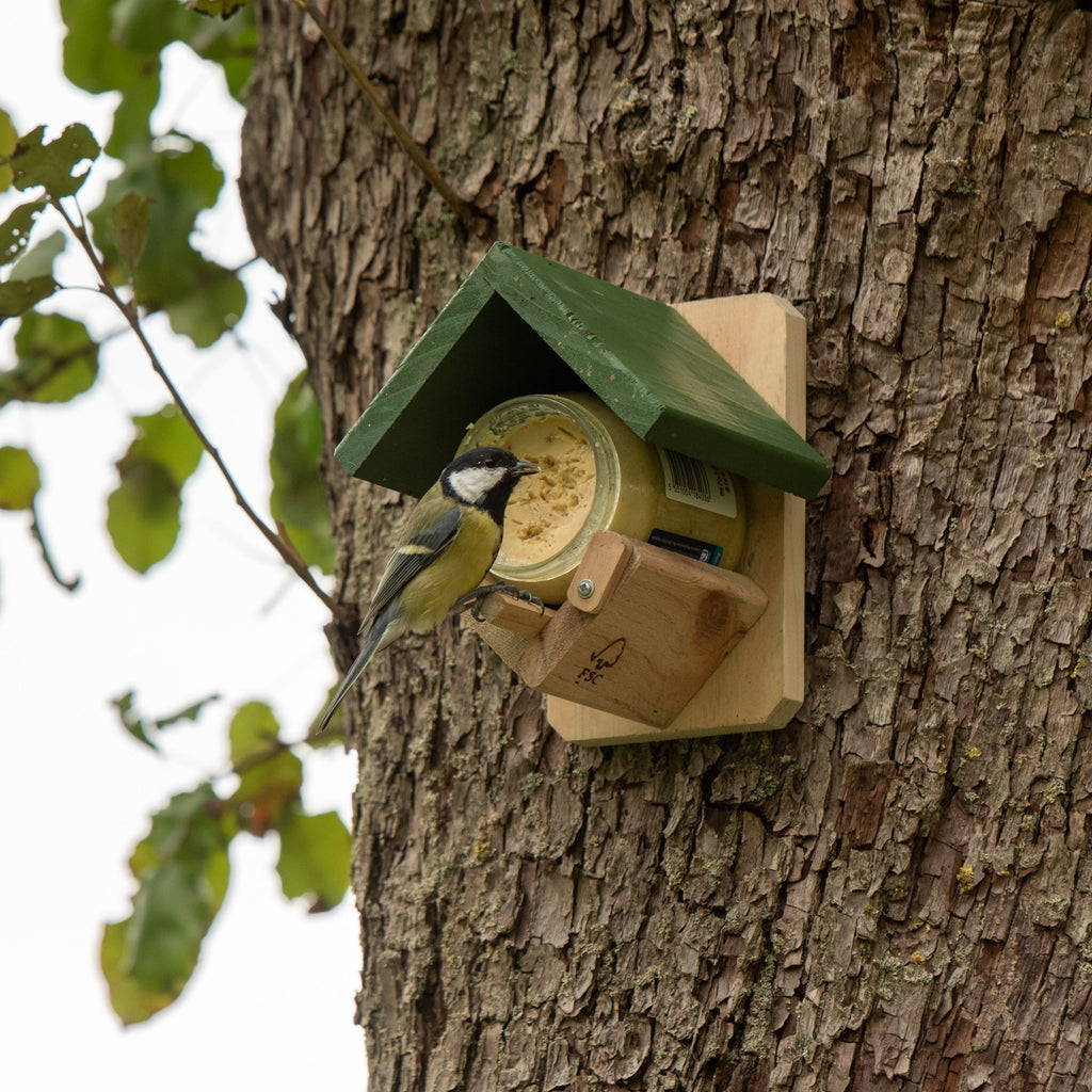 National Trust Dublin Wild Bird Peanut Butter Feeder – Stylish Hanging Feeder